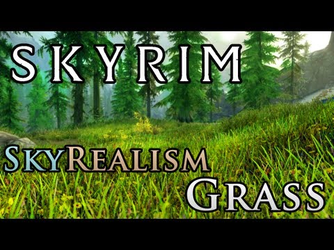Skyrim Mod Spotlight: SkyRealism Collection and Grass