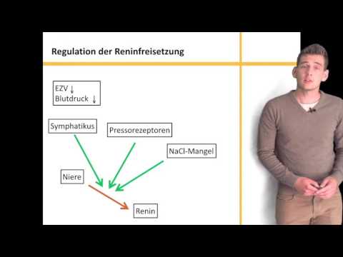 Möglich-ob für Hypertonie laufen Körperliches Training bei Hypertonie