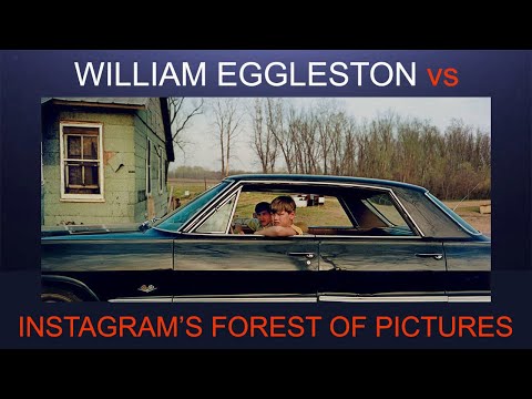 What makes Williams Eggleston unique?
