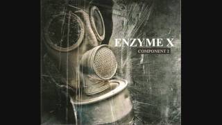 Enzyme X - Hammerhead