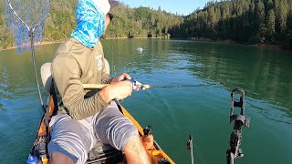 Targeting a Fish Species NEVER SEEN BEFORE (on this Channel)