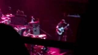 Home and Somewhere Else - Mimicking Birds