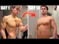 Here's what 2 weeks of dirty bulking did to my physique..