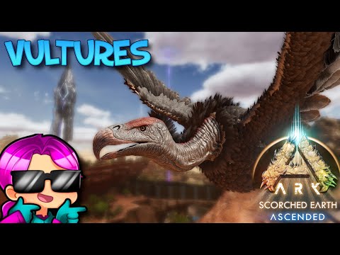 VULTURE TAMING & USES - SCORCHED EARTH - Ark Survival Ascended
