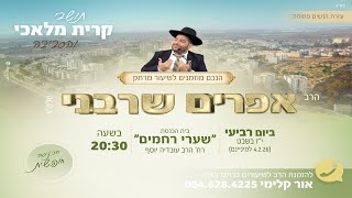 קרית מלאכי- שידור חי- הרב אפרים שרבני (הרב אפרים שרבני) - התמונה מוצגת ישירות מתוך אתר האינטרנט יוטיוב. זכויות היוצרים בתמונה שייכות ליוצרה. קישור קרדיט למקור התוכן נמצא בתוך דף הסרטון