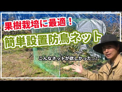 この春、苗木を鳥から守るにはどうすればよいでしょうか？羽のある鳥が若い植物を食べないようにするための 5 つのヒント  庭園