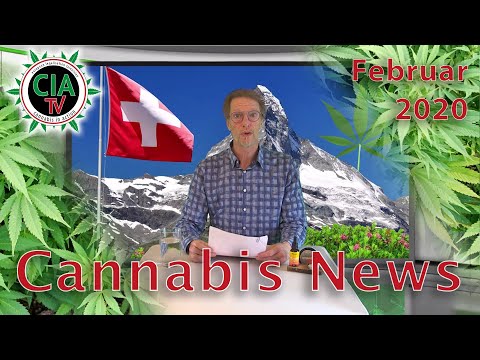 CannaNews Februar 2020 - USA, Jamaika, Schweiz, Deutschland, Österreich