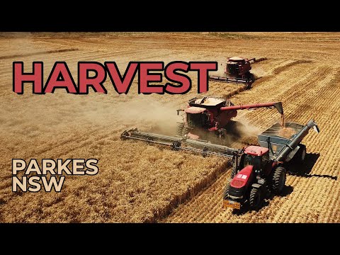 RECORD WHEAT BARLEY & CANOLA HARVEST AUSTRALIA | Huge yields, Case IH and chaser bin action