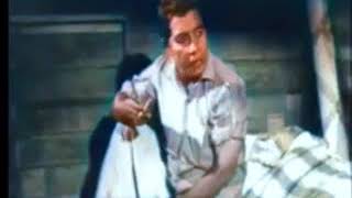 Download lagu FILEM P RAMLEE KELUARGA 69 1967 (VERSI WARNA) mp3 Download lagu FILEM P RAMLEE KELUARGA 69 1967 (VERSI WARNA) mp3