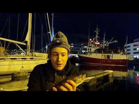 Winterangeln in Tromso #1 (Norwegen 2021)