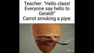 carrot