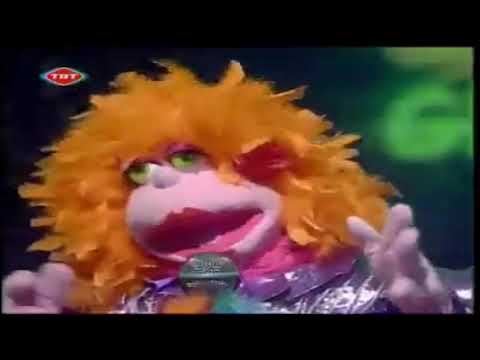 Grup Şurup Şen Gezgin