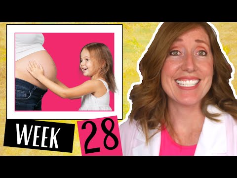 Week 28 | Third Trimester and What to Expect at 28 Weeks