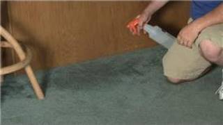 Carpet Cleaning : How to Take the Smell Out of Wet Carpet