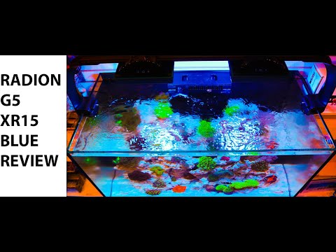 Ecotech Radion G5 XR15 Blue Review