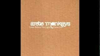 Baby I'm Yours - Arctic Monkeys & The Newell Octet