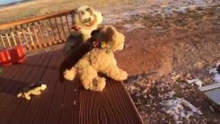 Habits Behind the Scenes