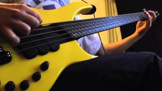 Periphery - The event (Bass cover by Werner Erkelens) Darkglass B7k vs. New strings