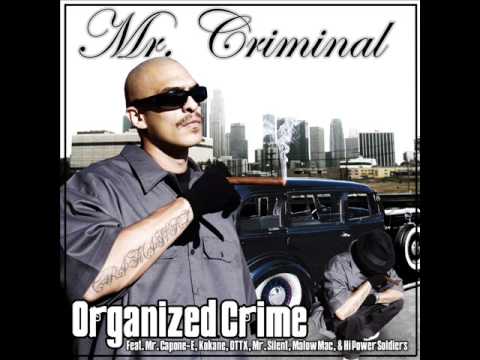 Mr Criminal-Lyrical Assasin
