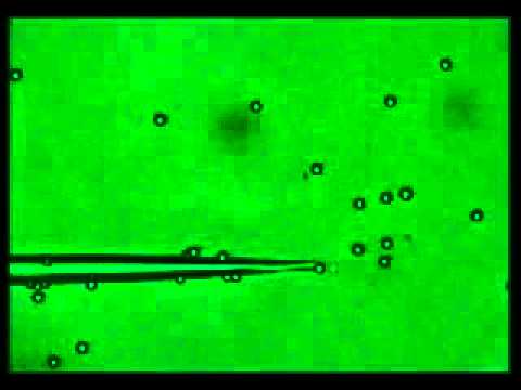 Detailed process of driving six particles to form a triangle