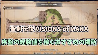 聖剣伝説 VISIONS OF MANA　序盤の経験値を稼ぐおすすめの場所