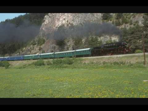 Pasarea Colibri-In Tren