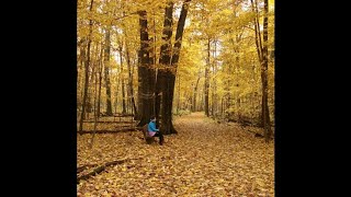 Andy Williams-Autumn Leaves