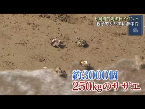 YouTube Video 海の日 雲見海岸で無料のサザエ狩り 3000個のサザエが海岸にまかれ800人の参加者が拾い集める 静岡・松崎町