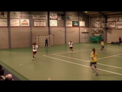 VZV A1 - Legmeervogels A1 Tophandbal