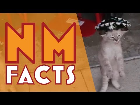 Top 5 NM Facts -Episode 1-