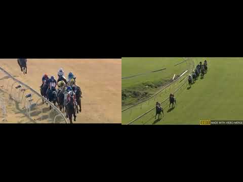 SA Oaks Summer Pudding vs War Of Athena