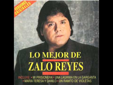 ZALO REYES  MOTIVO Y RAZON