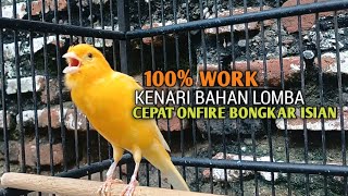 Download lagu kenari gacor panjang Cuit Cuit EMOSI, Pancingan Kenari Paud Belajar Bunyi, terapi AMPUH Kenari MACET mp3