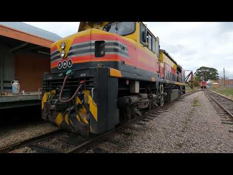 BRM002 walk Eskbank NSW.  Mon 23rd May 2022