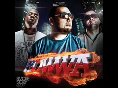 Jay-Z & Dj Tuniziano & Tede - HOWWA - Zollkontrolle(blend)