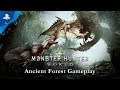 Monster Hunter: World - Ancient Forest Gameplay | PS4