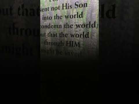 Hallelujah side Sharon Brown