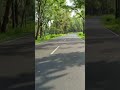Road Travel Forest Nature Tree Love Naturelovers Friends Viral Jeepsafari Shorts Video