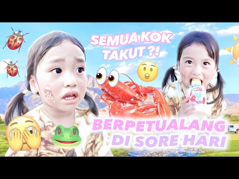 EVENING WALK LOOKING FOR THE BEST ZARIGANI