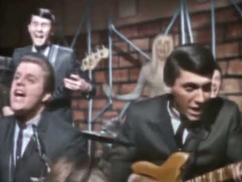 NEW 📀 Lies - The Knickerbockers {Stereo} 1965