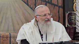 יתמו אויבינו ושונאינו וכל מבקשי רעתנו | הרב שמואל אליהו | הלכה יומית | כ"ט אלול תשפ"ד (הרב שמואל אליהו) - התמונה מוצגת ישירות מתוך אתר האינטרנט יוטיוב. זכויות היוצרים בתמונה שייכות ליוצרה. קישור קרדיט למקור התוכן נמצא בתוך דף הסרטון