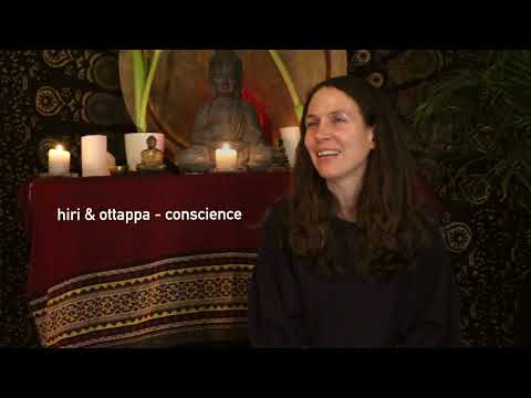 Should we read on retreat?