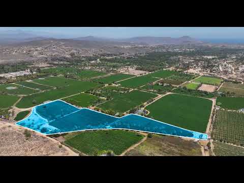 Lush Farmland for Sale | $952,056 USD | Rare Land Opportunity in Todos Santos |