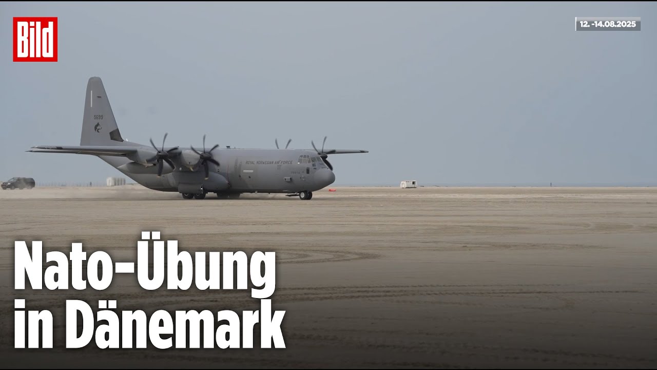 Dänemark: Militär-Flugzeug landet am Urlaubsstrand