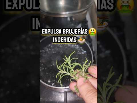Expulsa brujerías 🤮 ingeridas 🍜 #shorts #brujeria #té #ritual #hechizos #magia