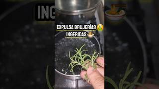 Expulsa brujerías 🤮 ingeridas 🍜 #shorts #brujeria #té #ritual #hechizos #magia