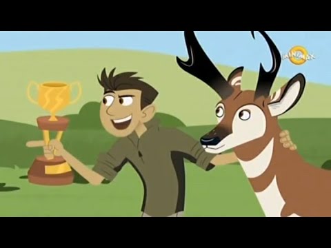 Braca Kret - Neverovatna Trka Stvorenja