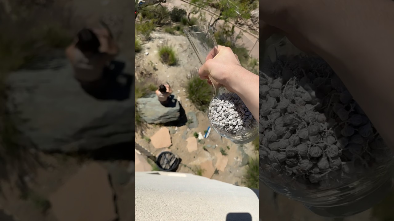 The Biggest Bang Pop Snap!! 🔥