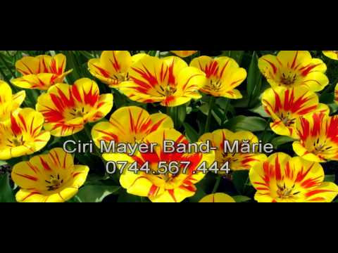 Ciri Mayer Band - Marie