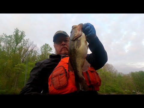 Stop losing Fluke Fish